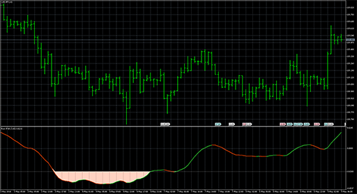 RAVI iFishの表示画像